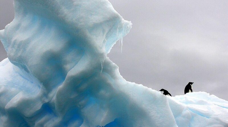 Jak klimat wpływa na pandemie?