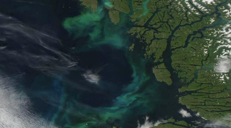 Jak globalne ocieplenie zmienia ekosystemy oceanów?