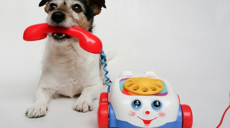 Czy możliwa jest komunikacja międzygatunkowa?